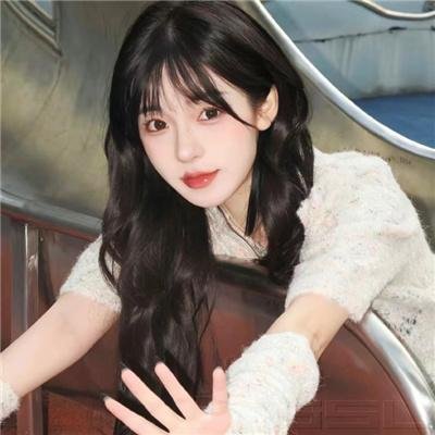 黑狐：希特勒